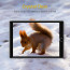 Mocoii ® Apple iPad Mini Ultra-thin 0.1mm 2.5D Curved Edge Tempered Glass Screen Protector